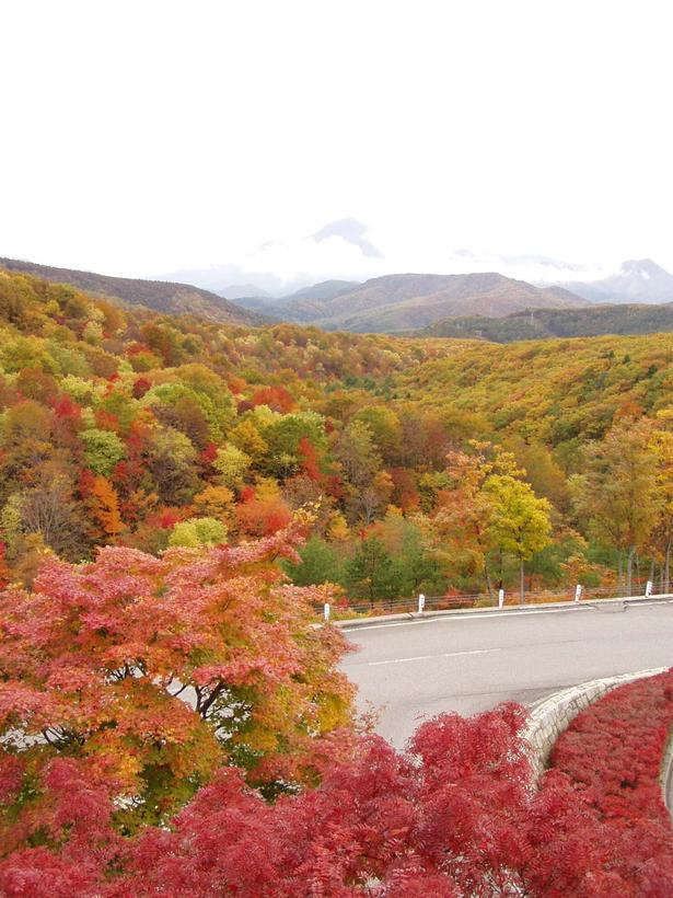 紅葉を間近に臨む横向大橋/磐梯横向温泉の紅葉 画像提供:(一社)猪苗代観光協会