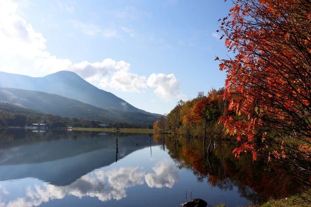 湖畔からはフォトジェニックな風景を眺められる/白樺高原(蓼科山)の紅葉 画像提供:立科町役場産業振興課