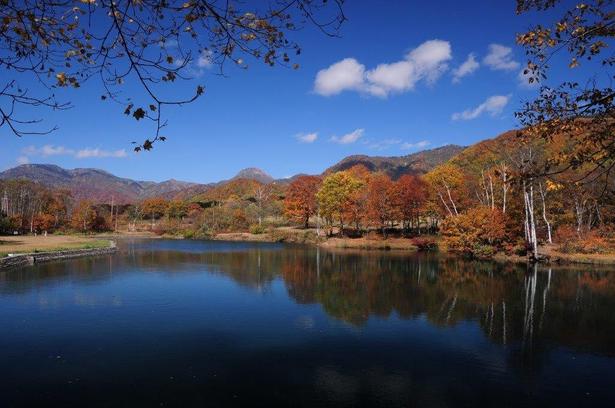 晴れた日には池の水面に紅葉が映える/笹ヶ峰高原の紅葉 画像提供:(一社)妙高ツーリズムマネジメント