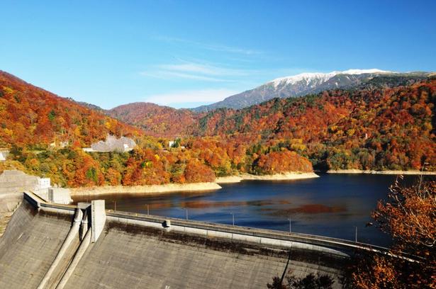有峰湖を囲む紅葉と冠雪する薬師岳/有峰森林文化村(有峰森林文化公園)の紅葉 画像提供:有峰森林文化村