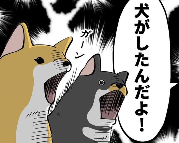 おならした犯人は…犬!?否定できないと思って、冤罪をかぶせがち ユウコトリトリ(@yuko_toritori)