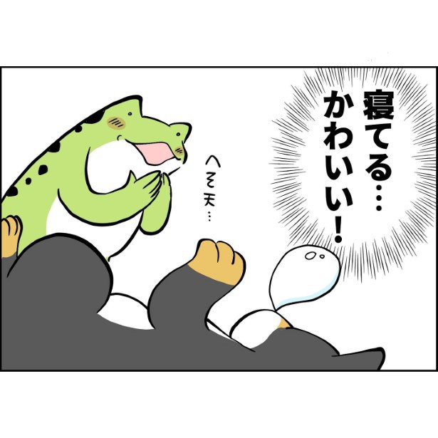 何をしていても、どんな姿でもかわいい! ユウコトリトリ(@yuko_toritori)
