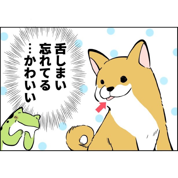 犬が家族になってから1_004 ユウコトリトリ(@yuko_toritori)