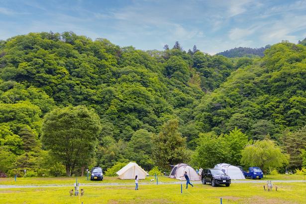 山遊びも川遊びもできる好立地／「緑の休暇村 青根キャンプ場」 画像提供：緑の休暇村 青根キャンプ場