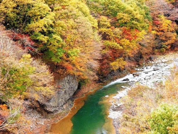 紅葉とエメラルドグリーンの川面/白砂渓谷ラインの紅葉 画像提供:中之条町六合支所