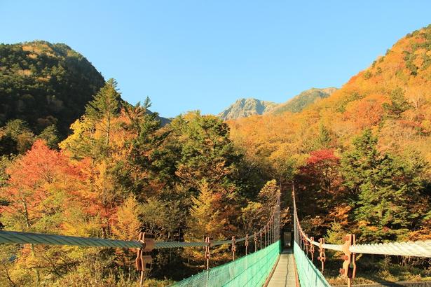 白鳳渓谷の吊橋からの紅葉と北岳/南アルプス白鳳渓谷の紅葉 画像提供:南アルプス市
