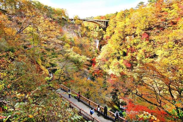 高さ約100メートルの渓谷に広がる紅葉は圧巻/鳴子峡の紅葉 画像提供:鳴子温泉郷観光協会