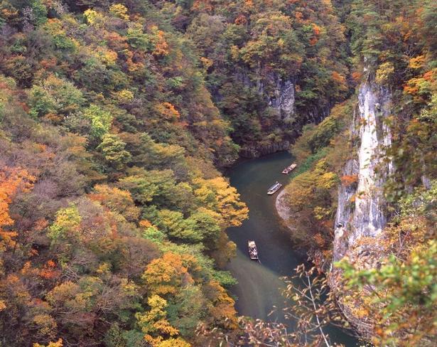猛々しい渓谷を紅葉が鮮やかに彩る/猊鼻渓の紅葉 画像提供:げいび観光センター