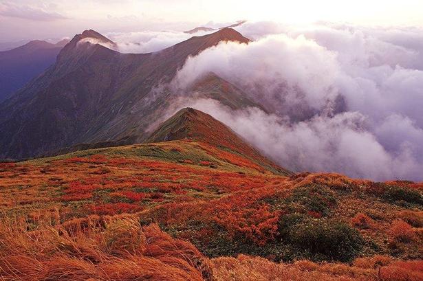 ダイナミックな山並みを紅葉が赤く染め上げる/谷川岳の紅葉 画像提供:みなかみ町観光協会