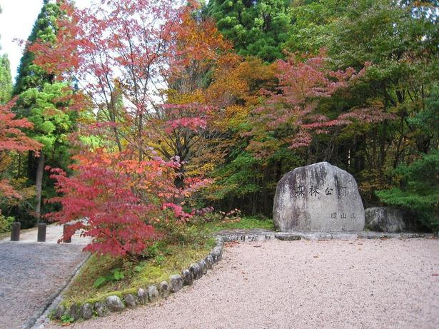 南・北展望台からの景色は必見/岡山県立森林公園の紅葉 画像提供:岡山県立森林公園