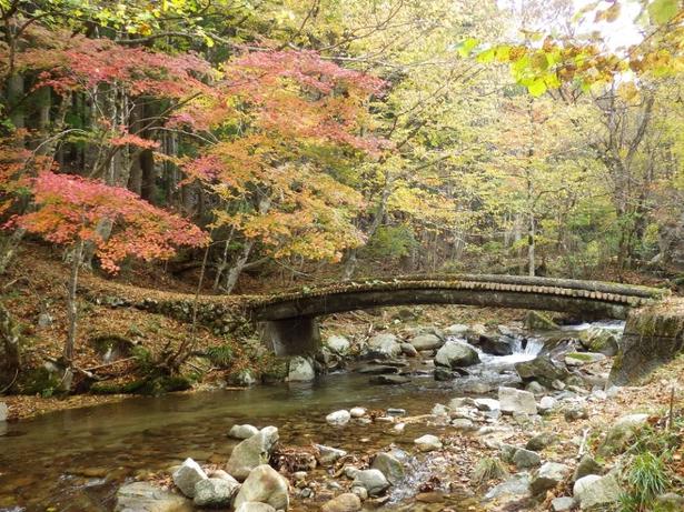 散策しながら紅葉を楽しめる/芦津渓谷の紅葉 画像提供:智頭町観光協会