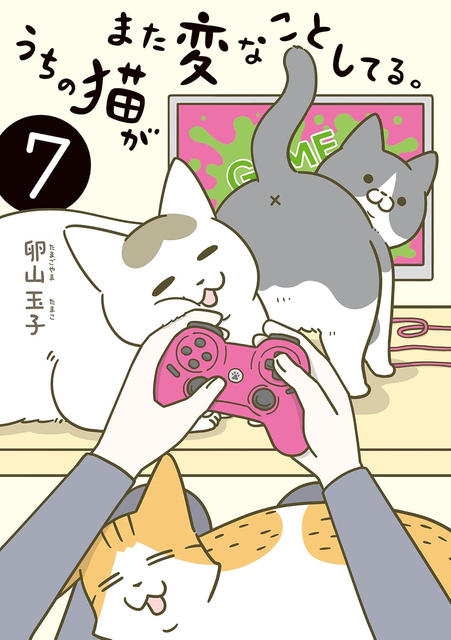 うちの猫がまた変なことしてる。7～8