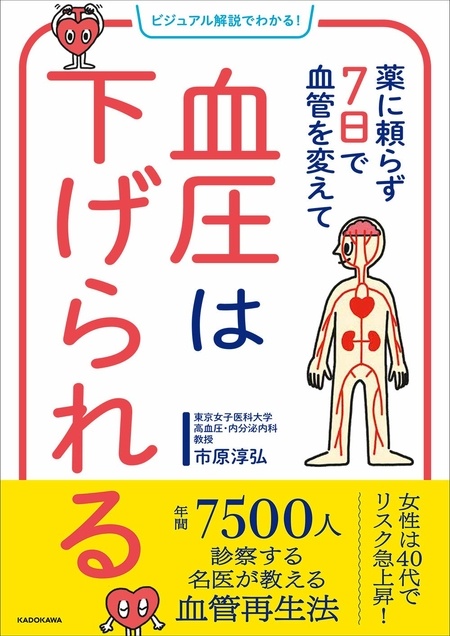 50代から増加する女性の高血圧...。血管を若返えらせて血圧を安定させる「NOの増やし方」って？（7）