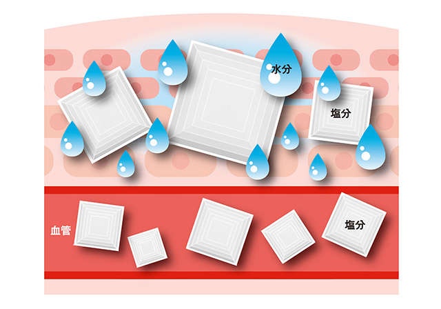 「下肢静脈瘤」に効く食べ物はある？ 水分は控えるべき？ 足の「ボコボコ」「むくみ」に良い食事法（2）