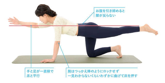 まずは自分の姿勢のクセをセルフチェック！ 「もれない体づくり」に必要なものは／もれ止めエクサ（画像7/14枚目）