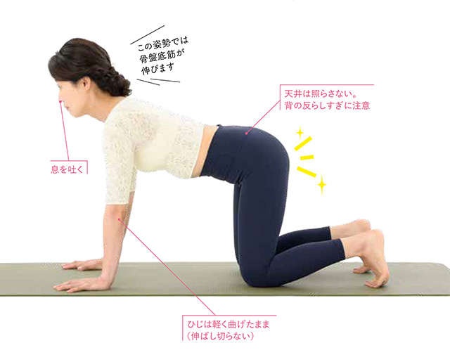 人に言えない「尿もれ」の悩み。看護師考案エクササイズでこっそり改善しましょう／もれ止めエクサ（1）