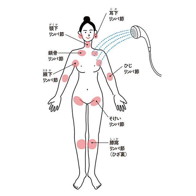 免疫力低下・認知症の予防に期待！ 毛細血管を増やす新習慣！入浴で血流を上げよう（4）