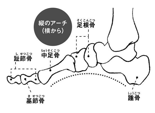 靴を履かなくても痛む場合も...「外反母趾」は早期セルフケアで悪化を食い止めて（2）