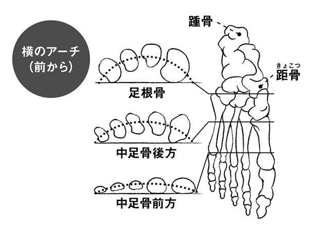 靴を履かなくても痛む場合も...「外反母趾」は早期セルフケアで悪化を食い止めて（3）