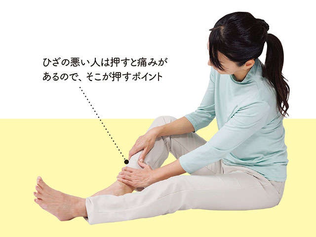 鍼灸師YouTuberに教わる「歩ける体」になる方法！ひざが痛む人もあきらめないで（2）