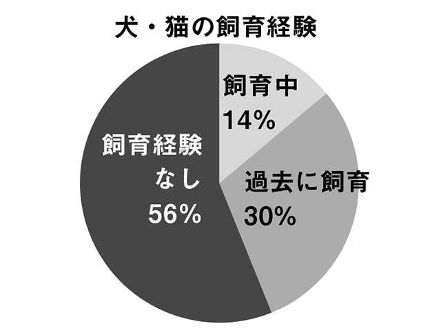 ペットを飼うと「介護や死亡のリスクが半減」。その理由を国立環境研所の研究員が解説（3）