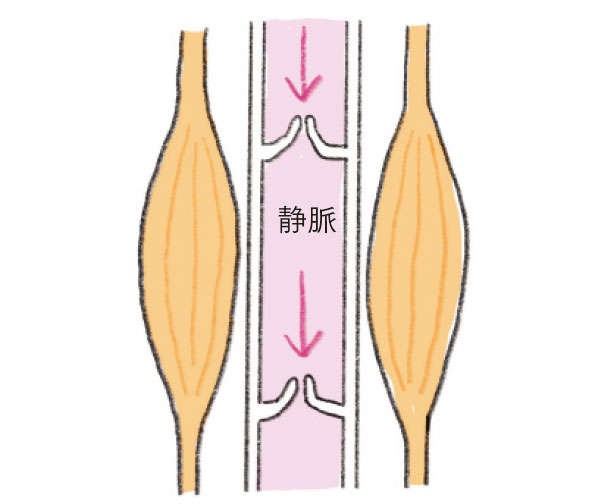 家光素行先生が指南！ 血管を若返らせて老化を最小限にする「セルフチェックとストレッチ」（4）