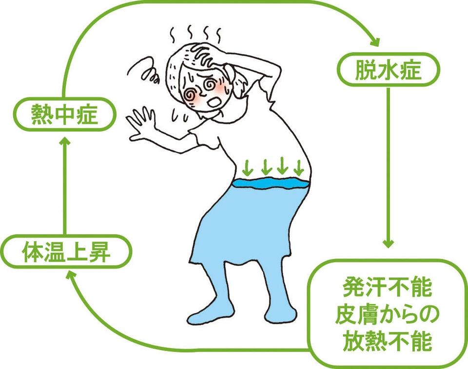 あ、暑すぎる...大量の発汗による「脱水症」、脱水を伴う「熱中症」に経口補水液。脱水症のチェック方法も学んで対策！＜PR＞（3）
