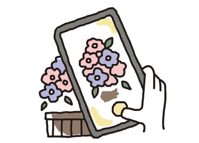 脳科学者の西さんに聞きました「いつもの暮らしに取り入れやすい」脳にいい生活習慣（7）