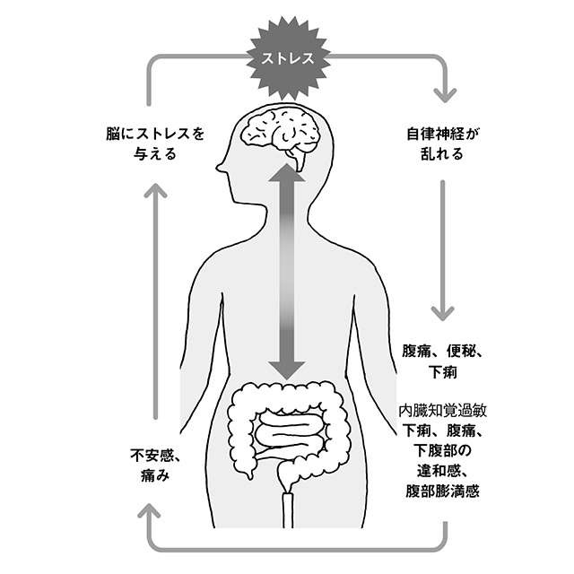 国内で1200万人もの患者が！ 下痢や便秘を引き起こす「過敏性腸症候群」【医師・鳥居先生が解説】（3）