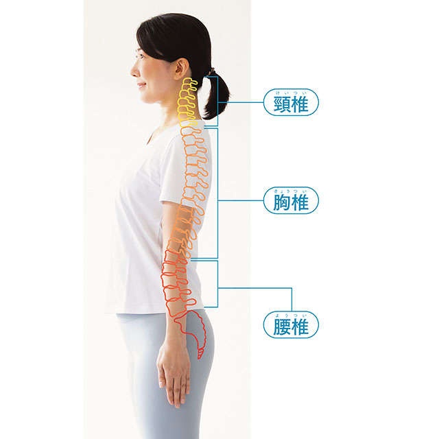  腰痛、肩こり、頭痛の予防につながる「背骨の使い方」をセルフチェック！【柔道整復師の酒井さんが指南】（1）