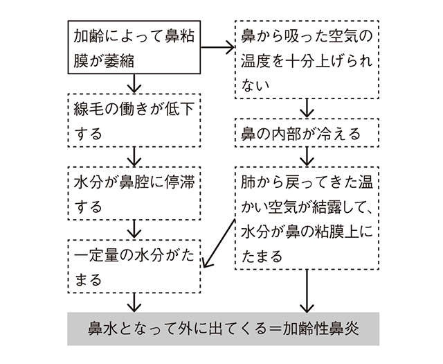 【耳鼻咽喉科の松根先生が指南】熱いものや辛いものを食べると鼻水が止まらないのはどうして？（5）