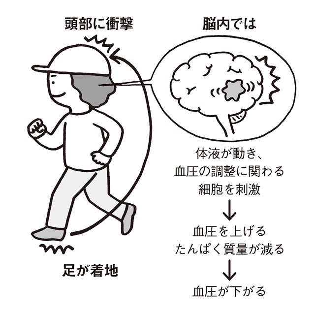 適度な運動で「高血圧が改善」する理由を解説【国立障害者リハビリテーションセンター澤田先生が解説】（4）