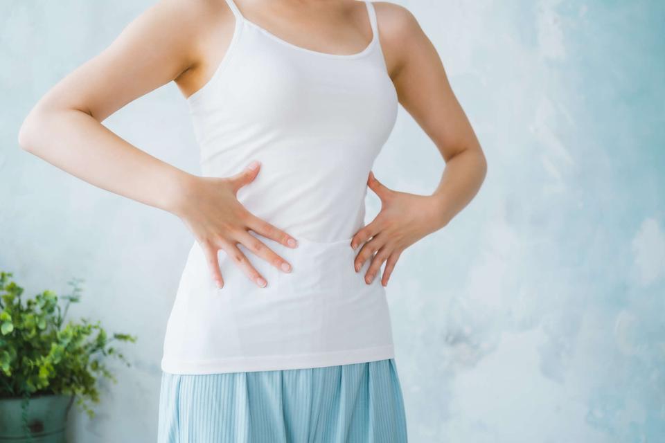 同じものを同じだけ食べても、太りやすい人とそうでない人、違いは「腸内細菌」!?【腸内細菌の新常識】（1）