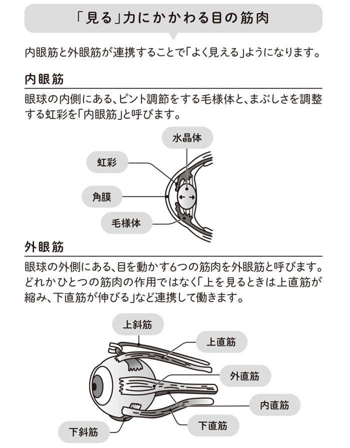 視力は戻らないとあきらめていませんか？ 目のコリをほぐす「マジカルフレーズ」で得られる4つの効果（4）