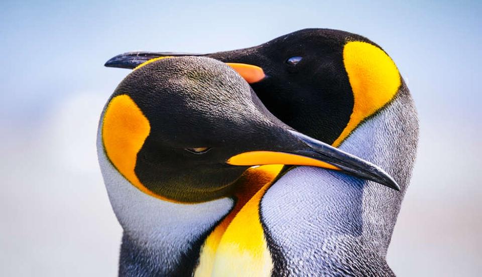 やる気の低下、優柔不断さが気になるなら。見るだけで「脳力」が鍛えられる写真【脳科学者が考案】（1）