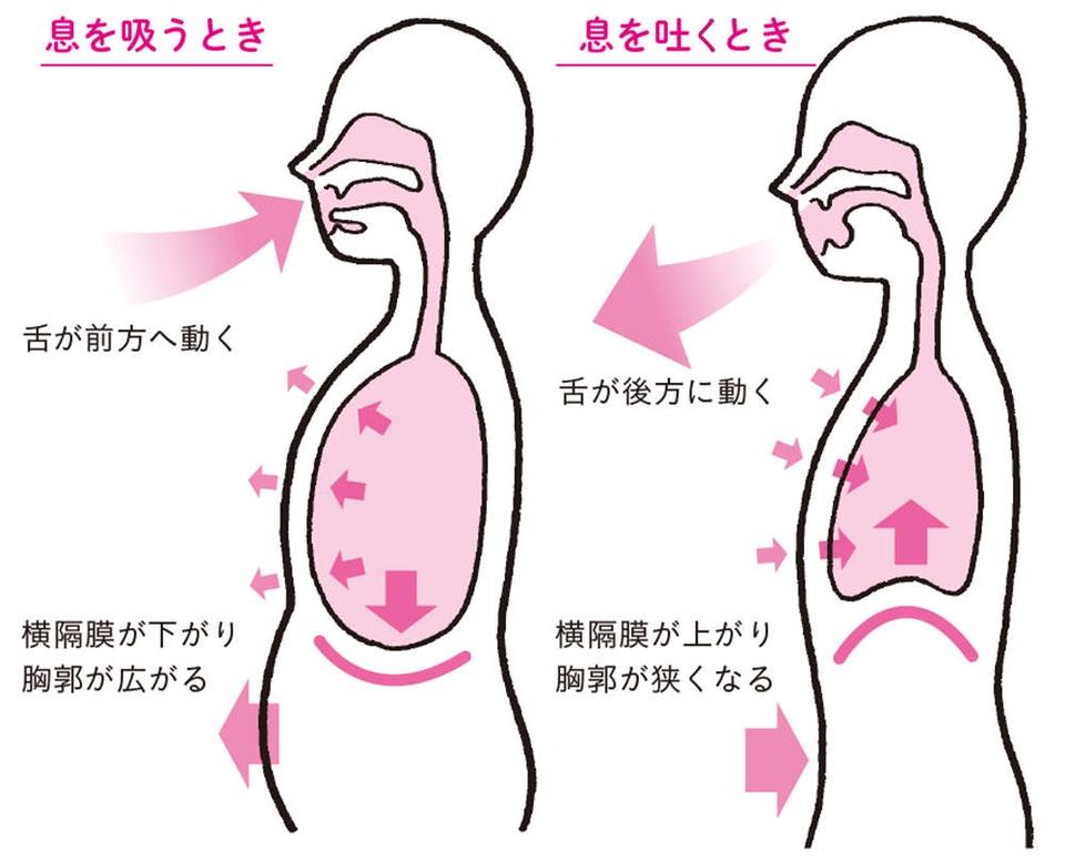 「舌力」低下が肩こりの原因に!? 舌が深く関係する「鼻呼吸」を定着させる、おすすめ「マイルール」（3）