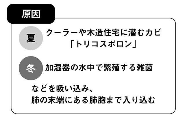 過敏性肺炎のリスクあり。 加湿器の雑菌やクーラーなどのカビに注意【呼吸器内科の坂本先生が解説】（4）