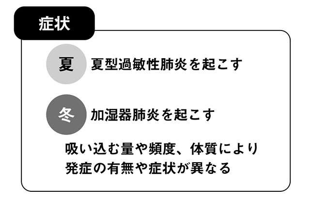 過敏性肺炎のリスクあり。 加湿器の雑菌やクーラーなどのカビに注意【呼吸器内科の坂本先生が解説】（6）