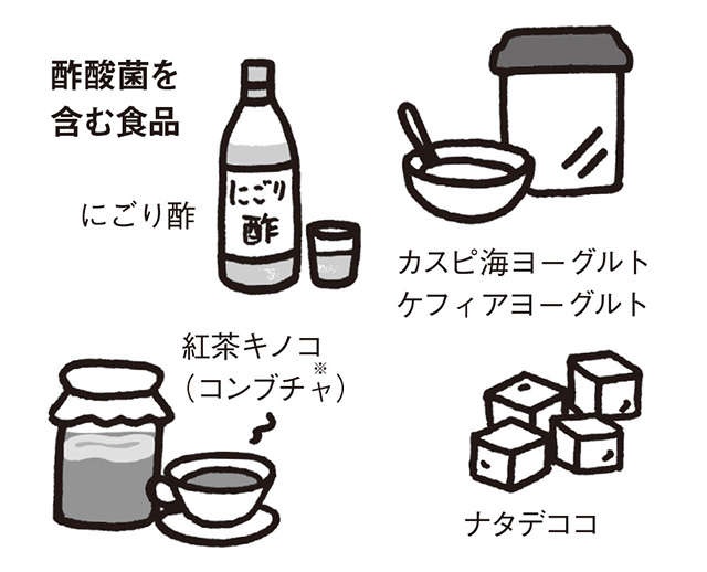 にごり酢（酢酸菌）で全身の免疫活性化！乳酸菌との相乗効果も【医師の石原新菜先生が解説】（1）