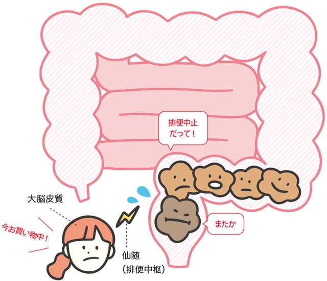 小学生の5人に2人は「便秘予備軍」!? 学校生活で「便ためトレーニング」してしまう危険性（3）