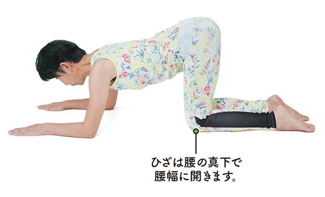 「最近足が上がりづらい」ならトライを！「股関節を伸ばす」リンパ体操【前新マミさんが指南】（4）