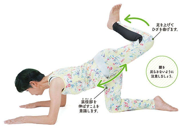 「最近足が上がりづらい」ならトライを！「股関節を伸ばす」リンパ体操【前新マミさんが指南】（5）