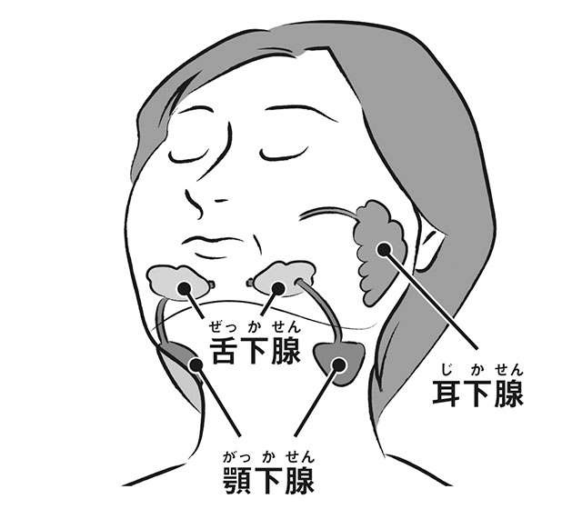 患者の70％以上は中高年の女性。「ドライマウス」セルフチェック【専門医の見立英史先生】（2）