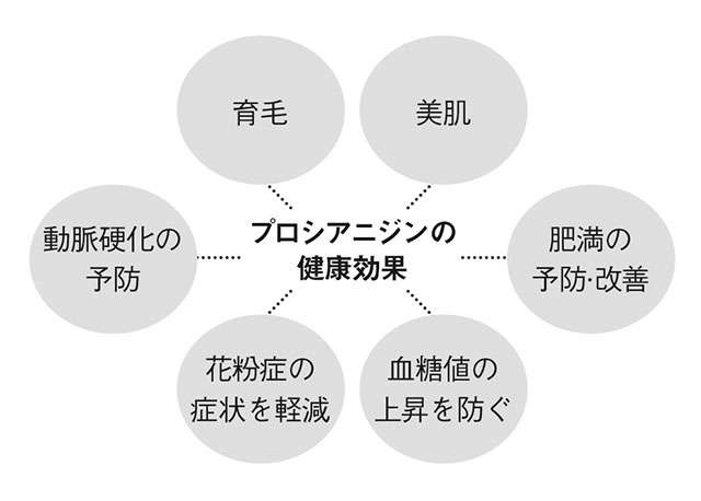 美肌や育毛の効果にも注目が集まる！ 専門家の庄司俊彦さんに教わる「りんごで腸活」（2）