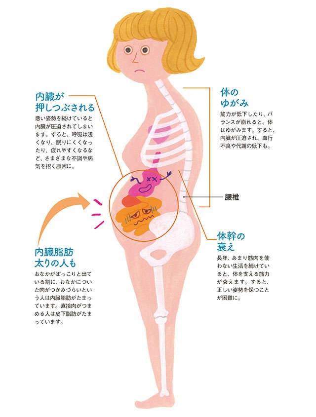 内臓が押しつぶされている！医師が教える「ぽっこりおなか」の意外なリスク（2）