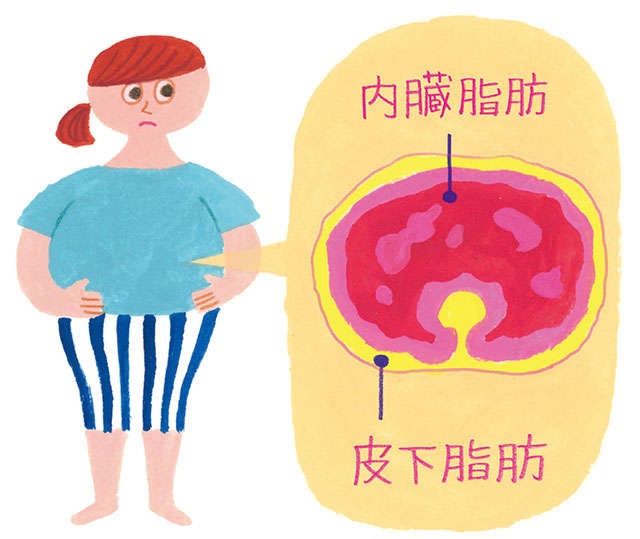 内臓が押しつぶされている！医師が教える「ぽっこりおなか」の意外なリスク（4）