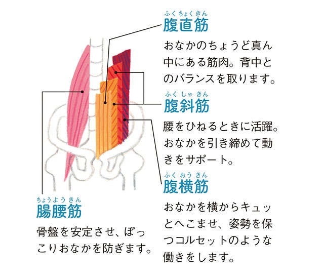 従来の腹筋運動より効果大。ヨガインストラクター考案、おなか周りがスッキリする「そるだけ体操」（3）