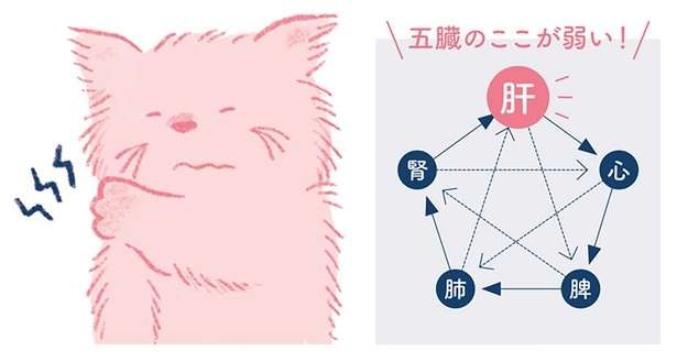 年齢が出やすい体の不調「肩こり・首こり」に効果的なツボ押しは、血液のめぐりをよくしてくれる！（1）