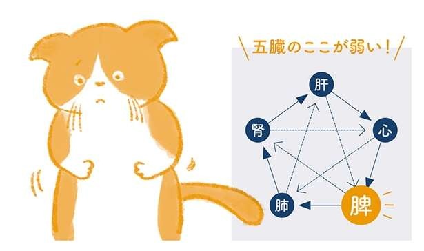 ストレスの影響を受けやすい胃腸をサポートするツボで、おなかのハリをスッキリ（1）