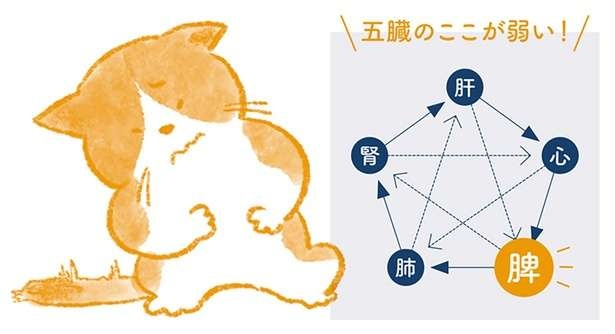 （C）櫻井大典、中神洋和　絵：ももろ
